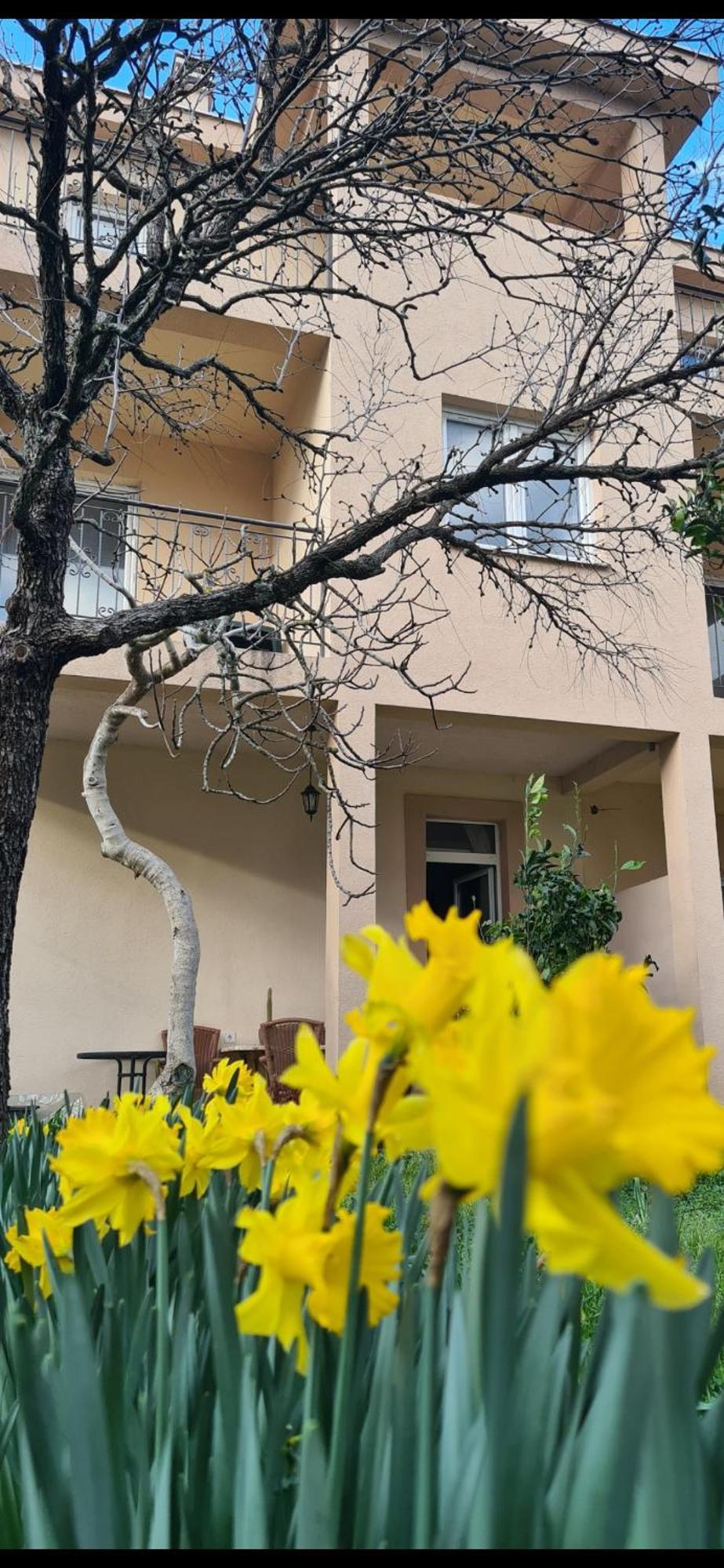 Casa M Apartment Tivat Exterior foto